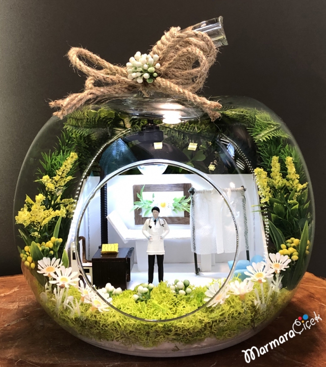 Doctor Terrarium