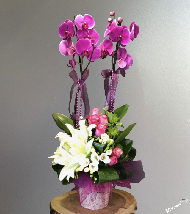 Fuchsia Orchid Arrangement