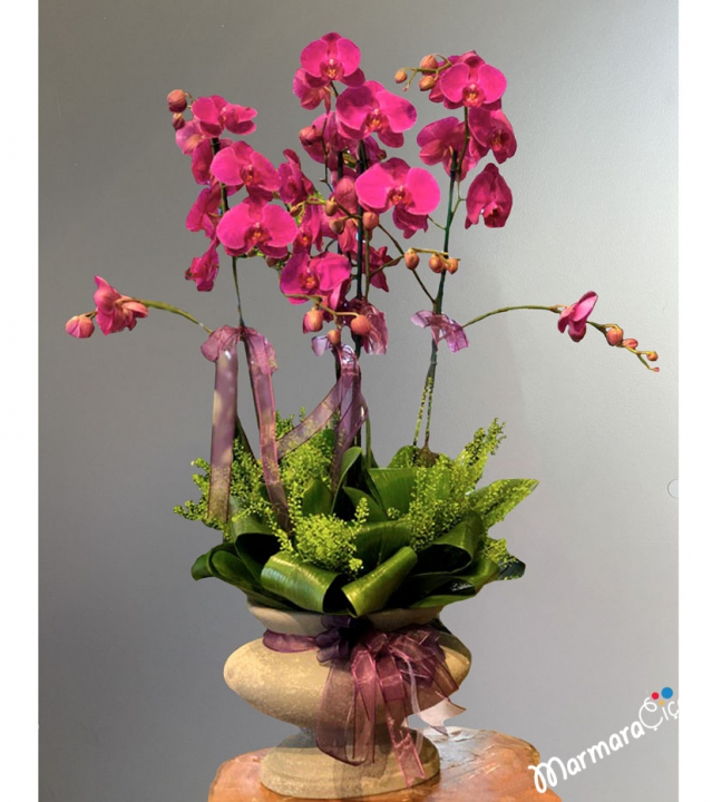 Fuchsia Orchid Arrangement