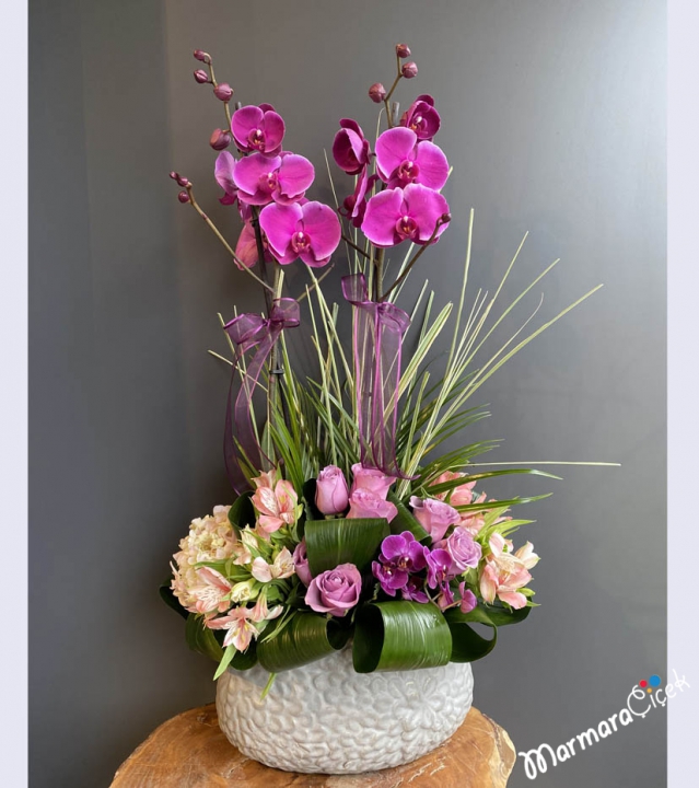 Arrangement of Fuchsia Orchids