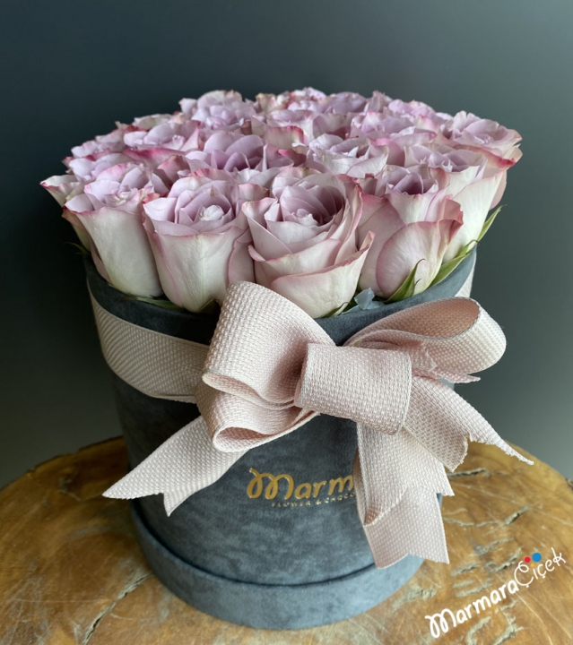 Roses in a Gray Box