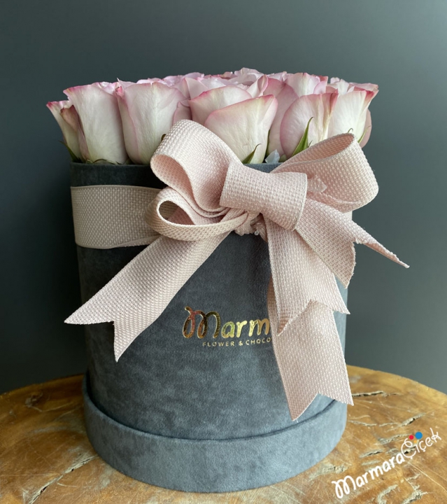 Roses in a Gray Box