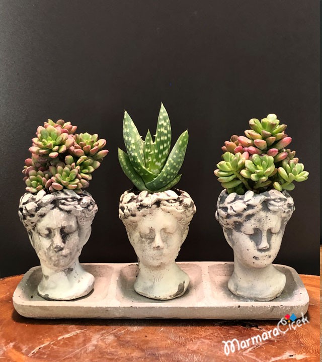 Heykel Saksıda Üçlü Kaktüs