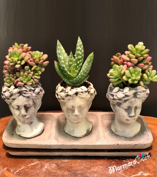 Heykel Saksıda Üçlü Kaktüs