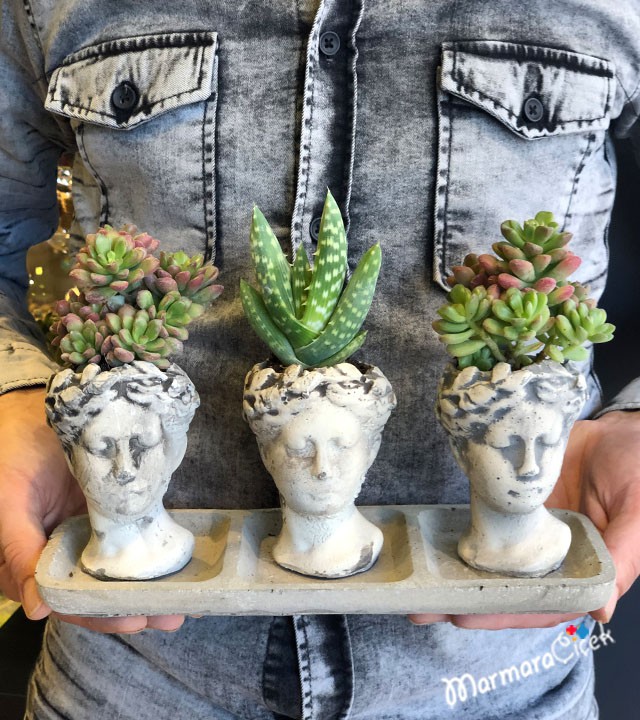 Heykel Saksıda Üçlü Kaktüs