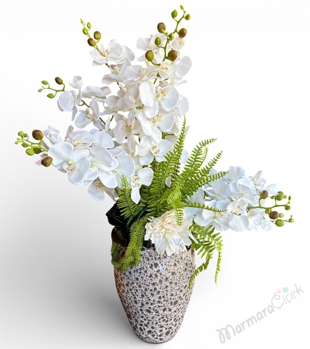 Asil Dokunuş Yapay Orkide