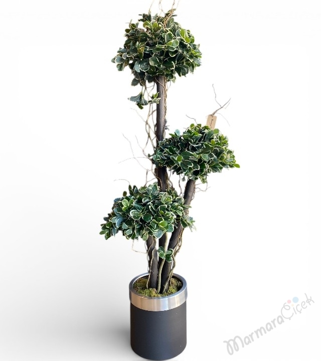 Pittosporum 3’lü Bonsai Yapay Saksı Çiçeği