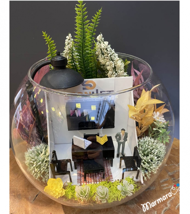 Illuminated Office Terrarium