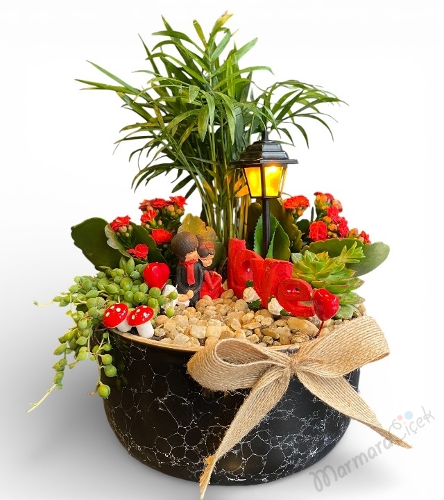 Işıklı Romantik Teraryum