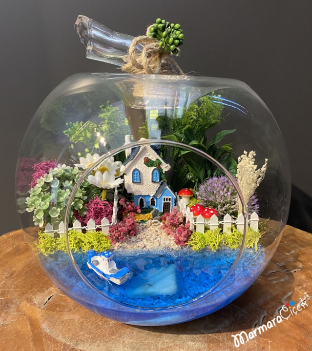 Here is Peace Terrarium