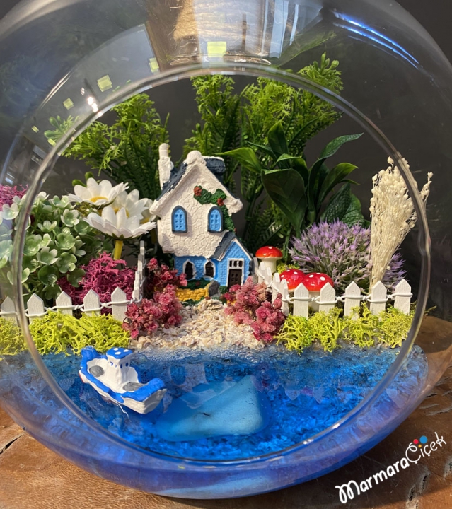 Here is Peace Terrarium