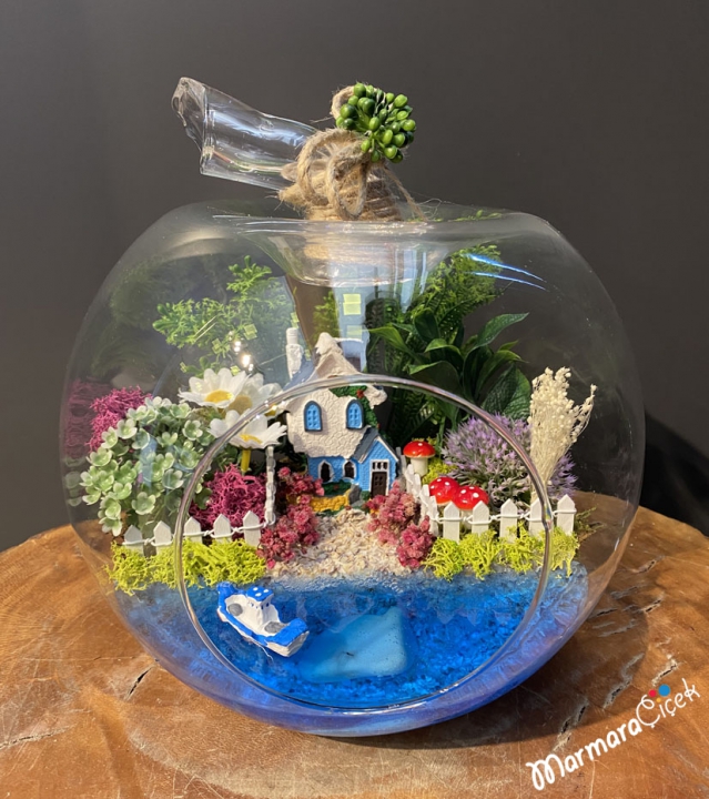 Here is Peace Terrarium