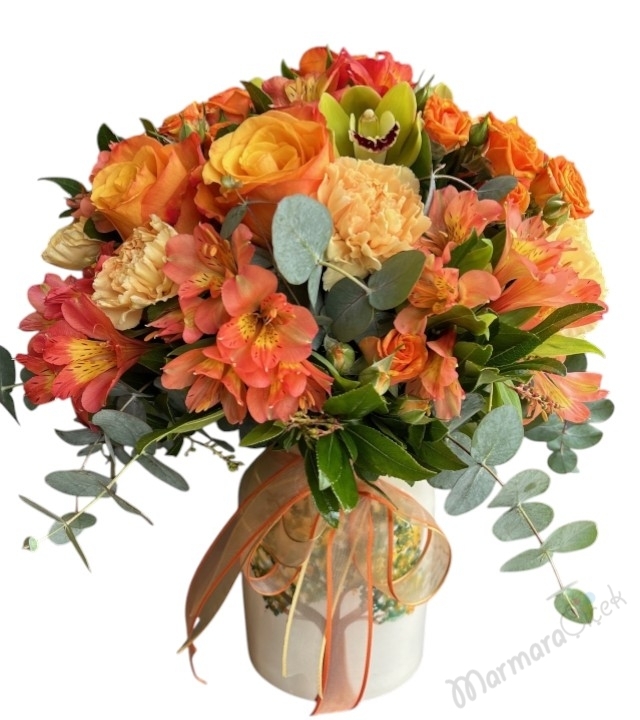 Kış Güneşi Aranjman