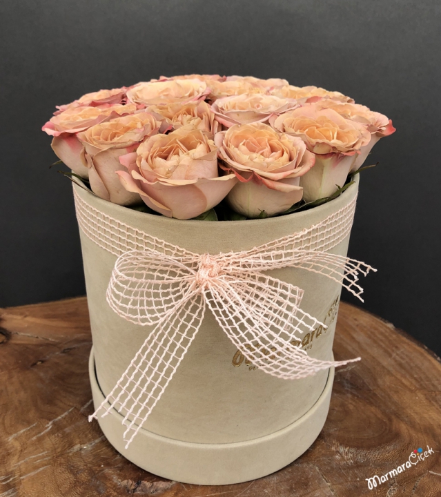 Roses in a Cream Box