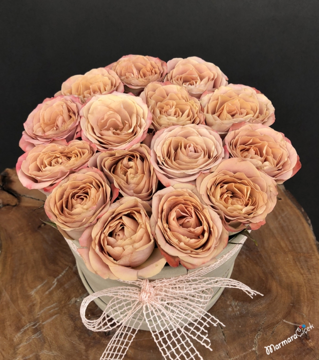 Roses in a Cream Box