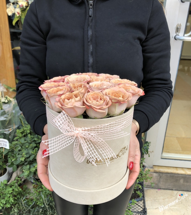 Roses in a Cream Box