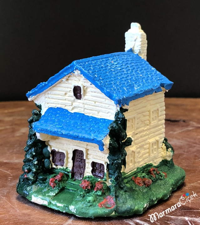 Mavi Çatılı Ev 