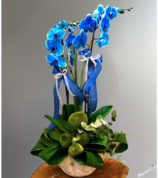 Blue Orchid arrangement