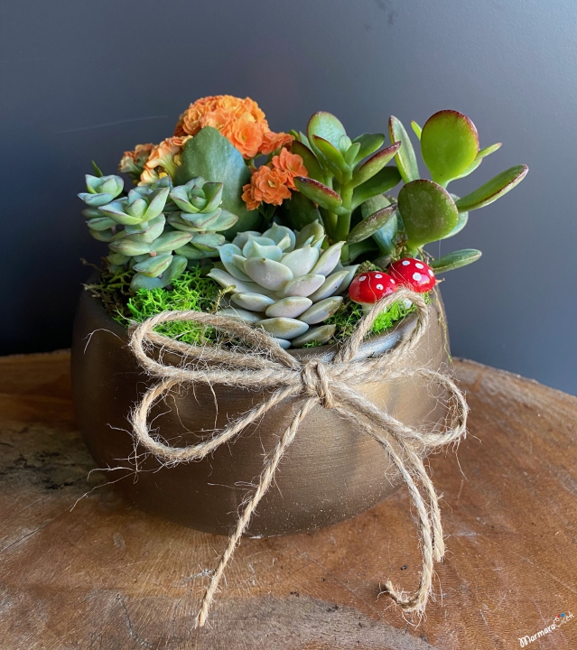 Mini Kalanşo ve Sukulentler Teraryum 