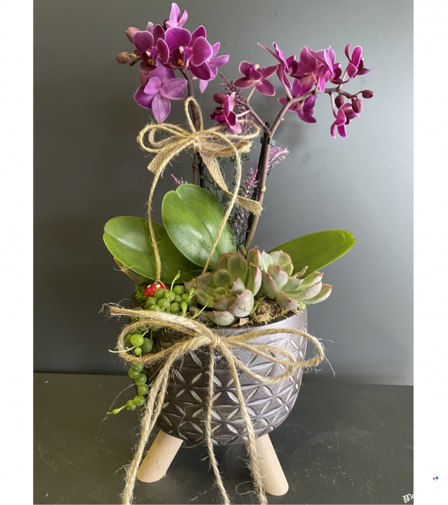 Ayaklı Saksıda Mini Orkide Teraryum 