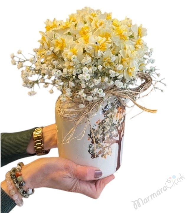 Mis Kokulu Nergis ( Narcissus ) Aranjman