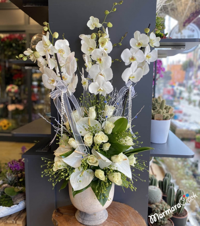 White Orchid Arrangement