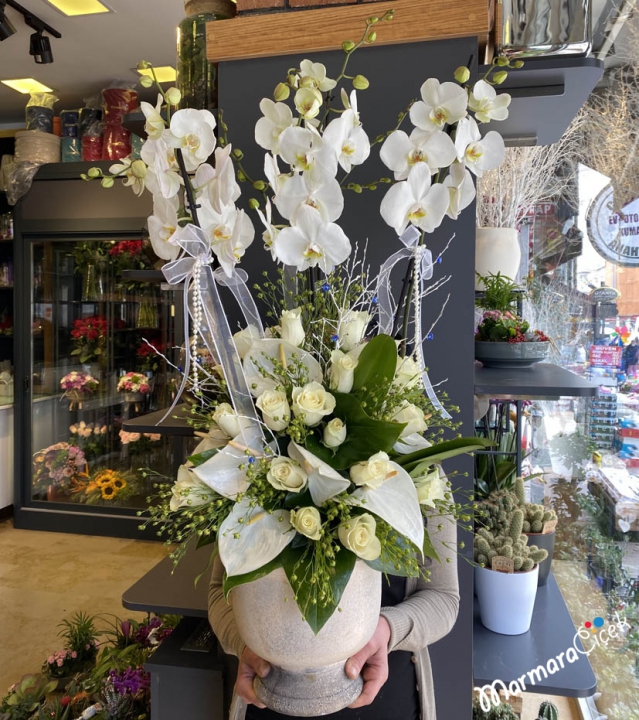 White Orchid Arrangement