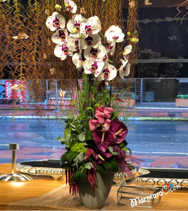 Arrangement of Dalmatian Orchids