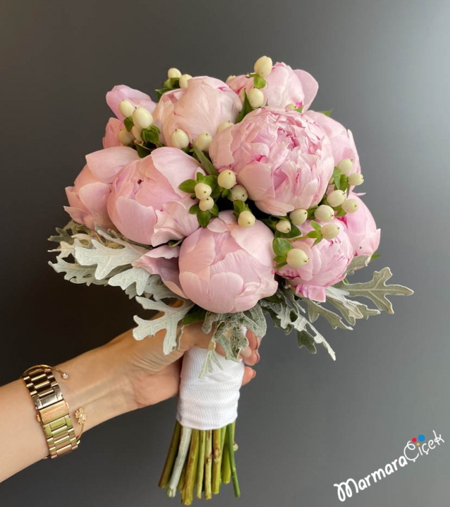 Pembe Şakayık (Paeonia) Gelin Çiçeği
