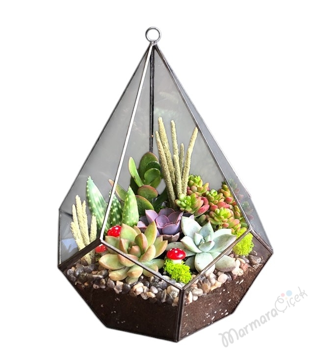 Piramit Camda Sukulent Teraryum