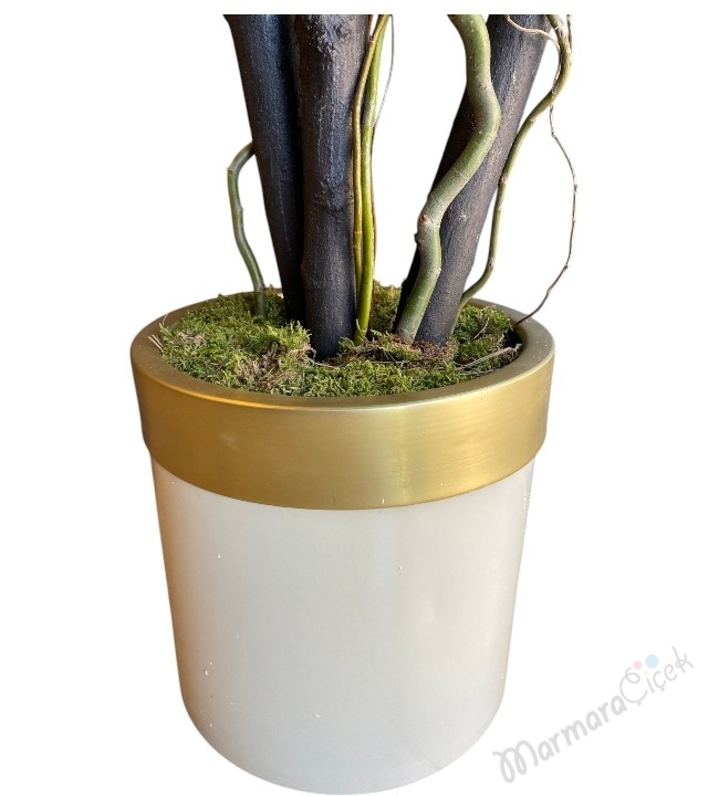 Pittosporum 3’lü Bonsai Yapay Saksı Çiçeği