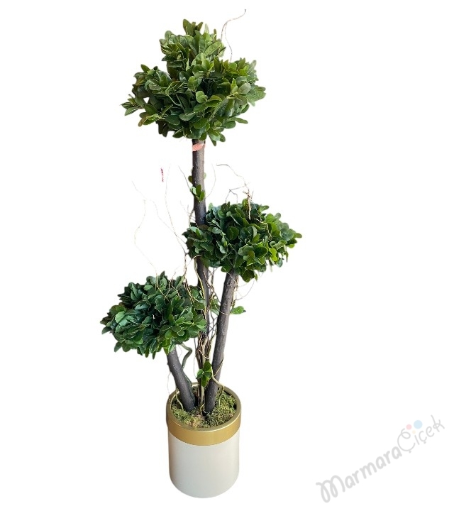 Pittosporum 3’lü Bonsai Yapay Saksı Çiçeği