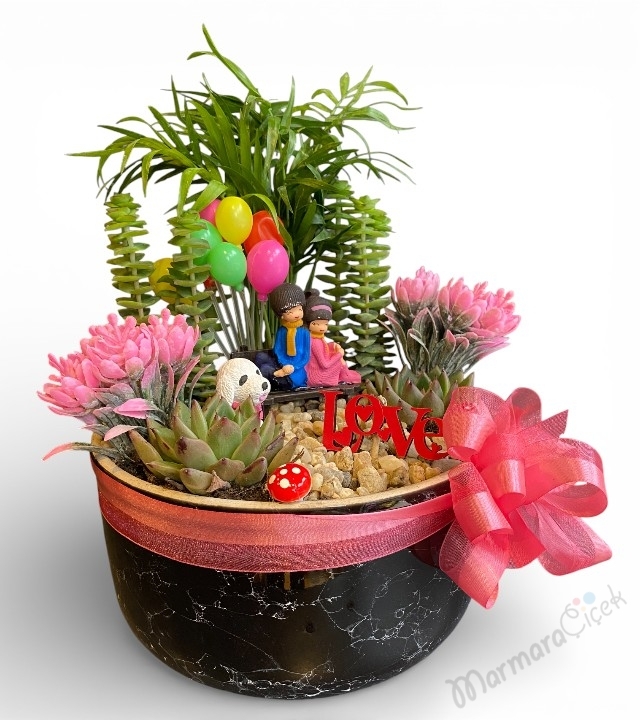 Romantik Canlı Teraryum