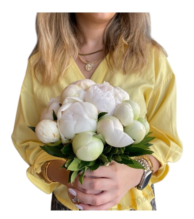 Şakayık Paeonia Gelin Çiçeği