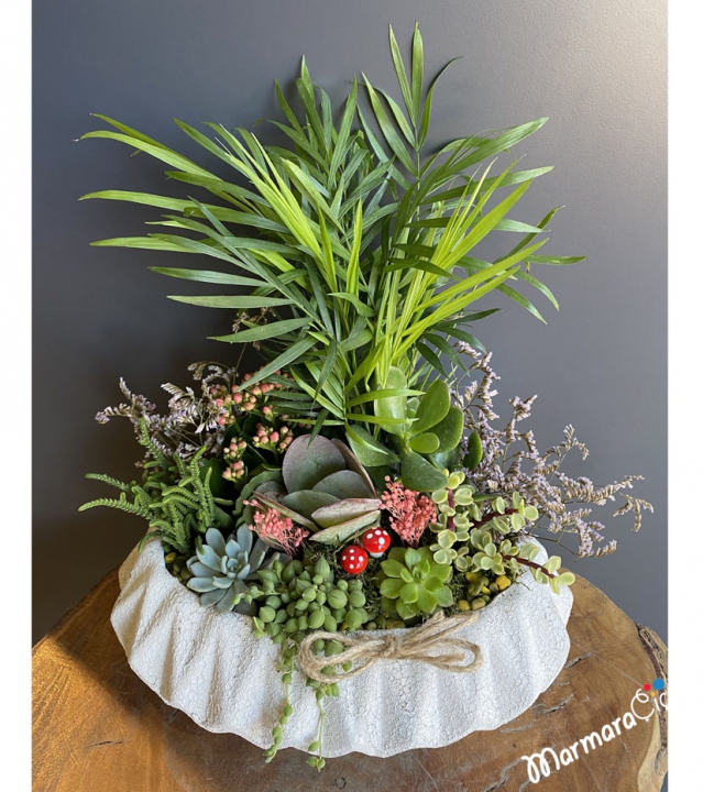 Succulent Garden Terrarium