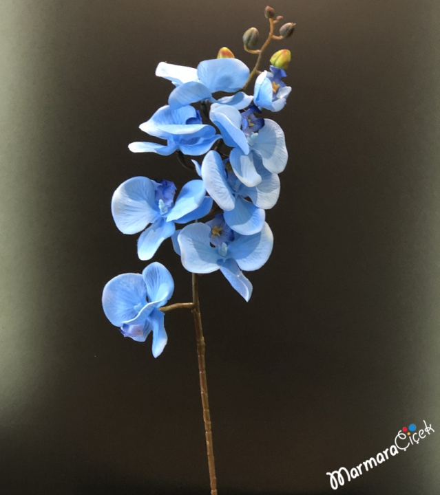 Tek Dal Yapay Mavi Orkide