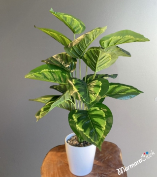 Yapay Calathea Dua Çiçeği