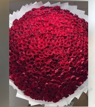 500 Adet Gül Buketi