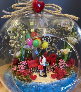 Aşkıma Işıklı Teraryum