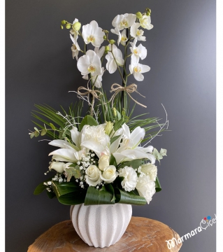 Beyaz Orkide Aranjman