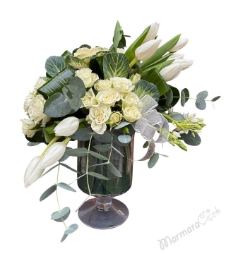 Beyazın Asaleti Aranjman 