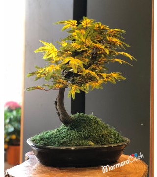 Kırçıllı Yapraklı Yapay Bonsai