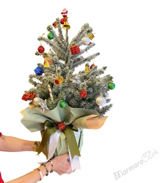 Canlı Yılbaşı Çamı