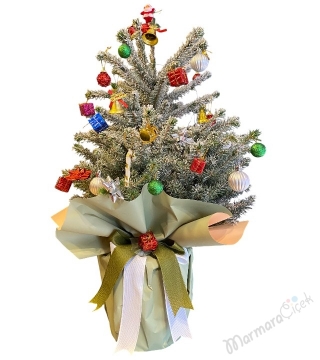 Canlı Yılbaşı Çamı