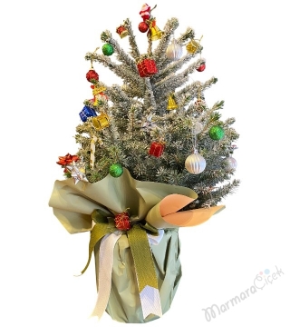 Canlı Yılbaşı Çamı