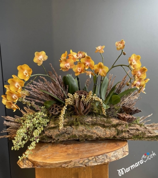 Doğal Orkide Tasarımı