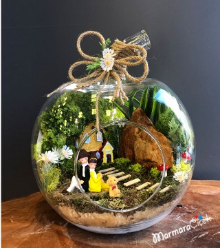 Apple Glass Terrarium