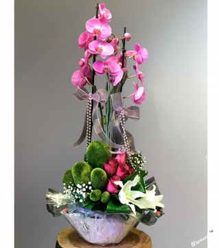 Fuchsia Orchid Arrangement