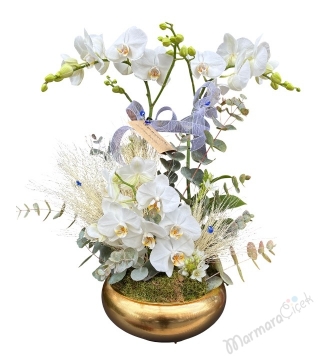 Gold Saksıda Beyaz Orkide 