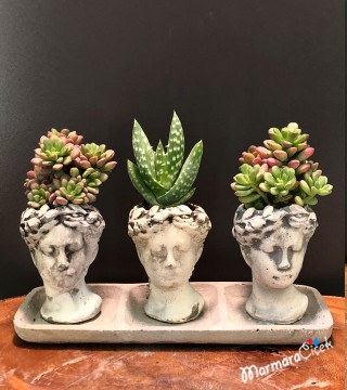 Heykel Saksıda Üçlü Kaktüs